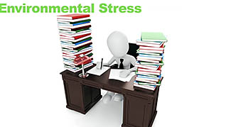 Managing Stress thumbnails on a slider