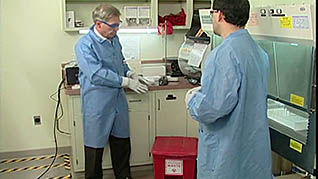Laboratory Safety: Preventing Contamination in the Laboratory thumbnails on a slider