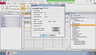 Microsoft Access 2010: Creating Effective Reports thumbnails on a slider