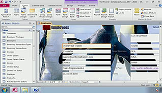 Microsoft Access 2010: Designing Forms thumbnails on a slider