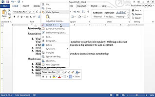 Microsoft Word 2013: Managing Lists thumbnails on a slider