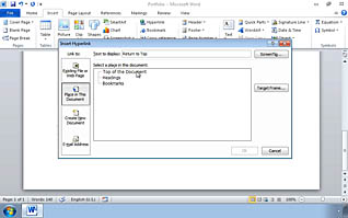 Microsoft Word 2010: Adding Reference Marks and Notes thumbnails on a slider